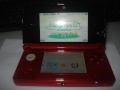 RenanNintendo3DS