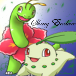 Shiny Endivie