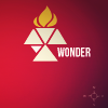 wonder