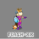 Flash-Xx