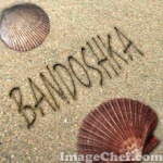 bandoshka