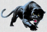 PanTheR