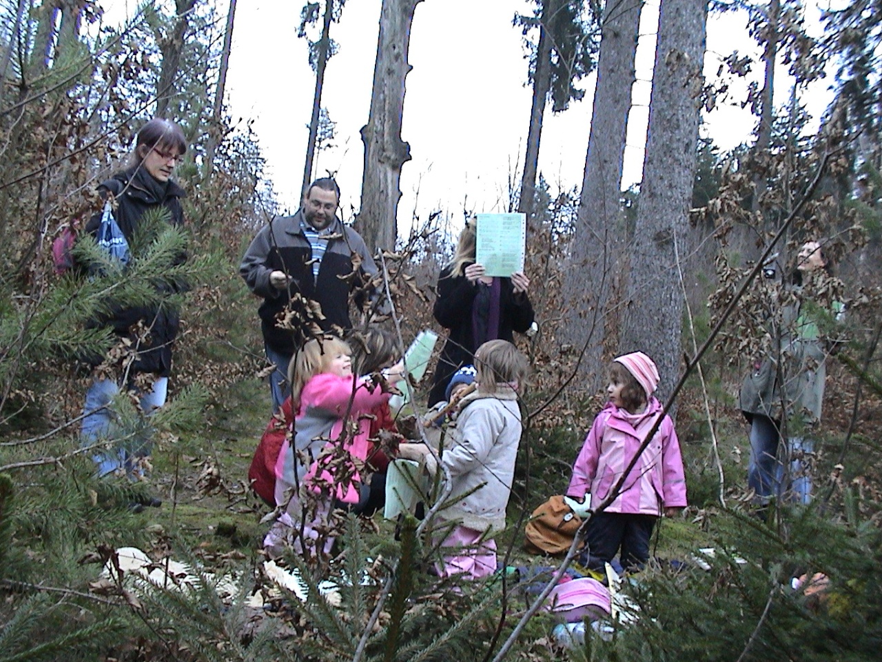 FRÜHLINGSLIEDER: Frühlingsanfang im Wald 20.03.10