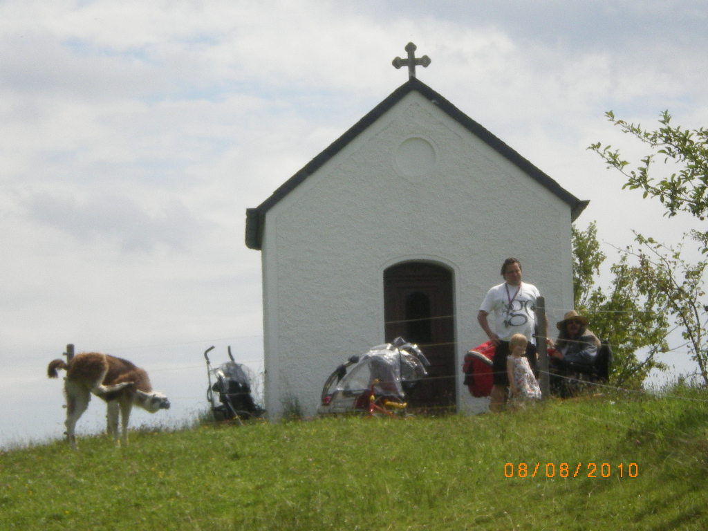 WIR UND DAS LAMA: Wandern auf der VIA JULIA 08.08.10