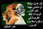 زهره ليبيا