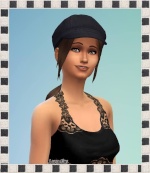 Luna-Sims