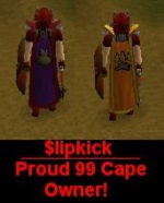 Slipkick