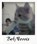 BobNorris