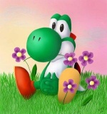 yoshi13