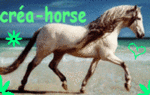 créa-horse