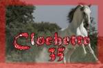 clochette35