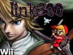 link300