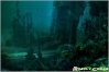 Tomb Raider Underworld Concep17