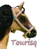 Tourisq