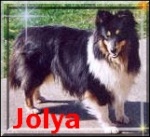 Jolya