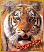 Tigger Lilly