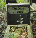 TheDark