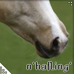 haflinger94