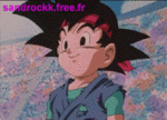 Goku.jr