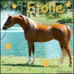 Etoile