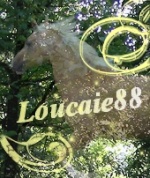 loucaie88