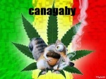 canagaby