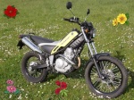 Tricker250