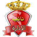 نائب المدير