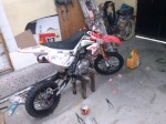 DaniPitbike18