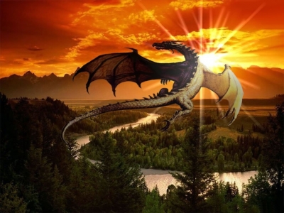 dragon s'en allant