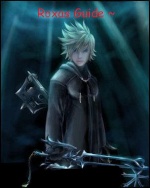 Roxas Guide ~