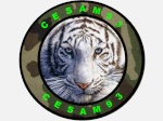 cesam93