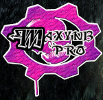 maxyn13pro