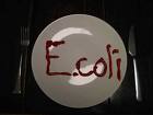 E.coli