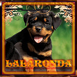 lalaronda