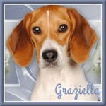 graziella