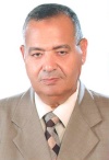 المهندس محمد فرج