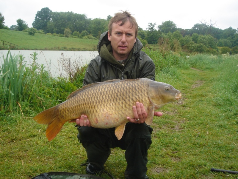 28lb Common