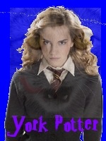 York Potter