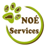 noeservices