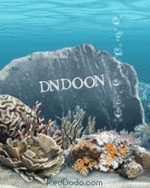 dndoon