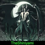 TheShiniyami