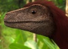 (Pyroraptor10)