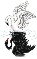 Swan21