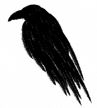 Corvus