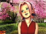 Haruno Sakura