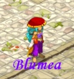 Blumea