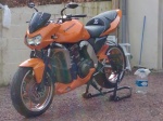 Vico11