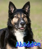 Abaddon