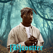 [B]oostter